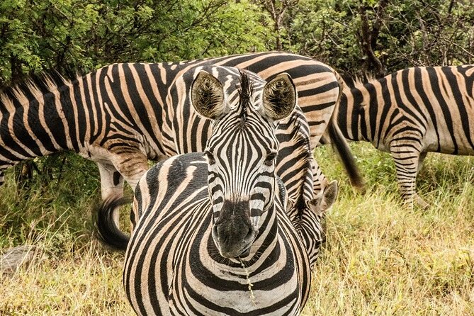 5 Days Tanzania Budget Camping Safari