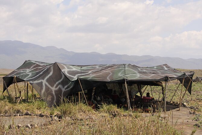 5 Days Tanzania Luxury Lodge Private Safari