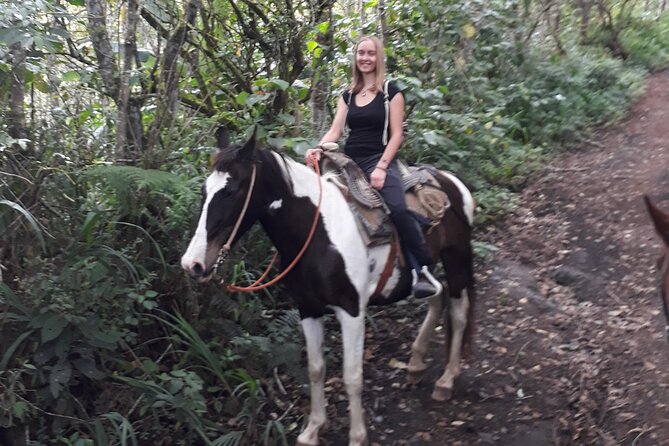 5-Hour Small-Group Horseback Riding Experience in Baños - Exploring the Stunning Outdoor Landscape