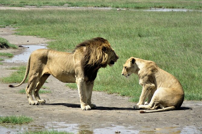 6- Day Adventure Lodge Safari to See Migration - Overview of the Safari
