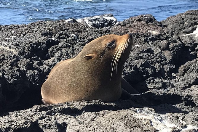 6-Day Galapagos Superior Adventure (Tourist Superior Class) - Snorkeling at Kicker Rock