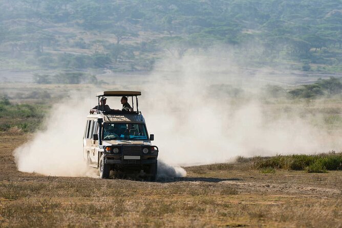 6-Day Honeymoon Safari Tour Package in Tanzania
