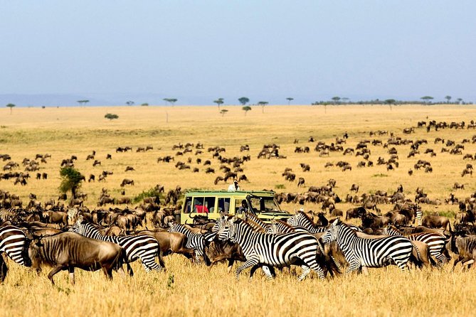 6 Day: Magnificent Wildlife Adventure - Overview of the Safari Experience