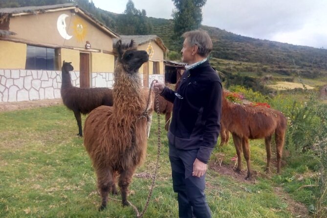 6-Day Tour of the Cusco of the Incas With Pick-Up - Daily Itinerary