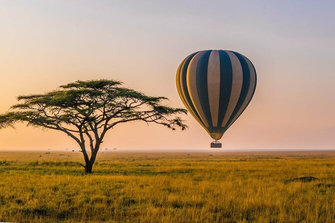 6 Days Best Adventure Kilimanjaro ,Tarangire ,Serengeti &Ngorongoro Crater