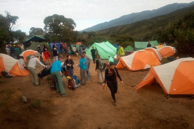 6 Days Climb Kilimanjaro Through Marangu Route