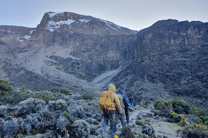 6 Days Climbing Mount Kilimanjaro Machame Route - Daily Itinerary Breakdown