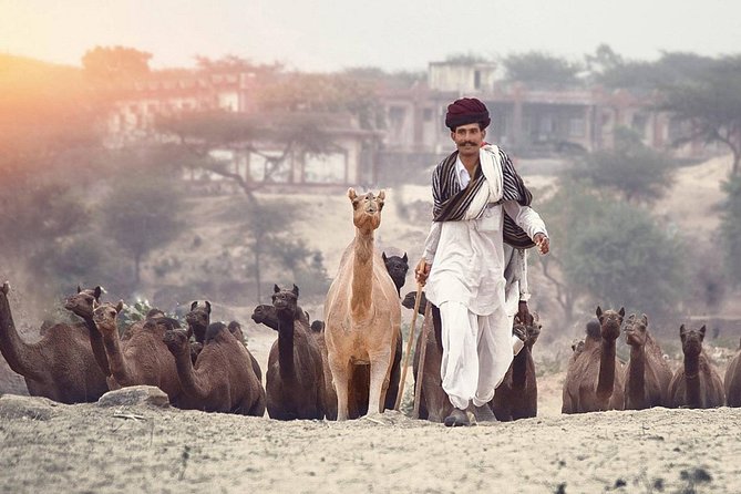 6 Days Golden Triangle Tour With Pushkar : Delhi, Agra and Jaipur - Itinerary Overview