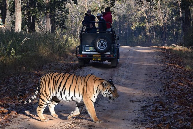 6 Days Golden Triangle Tour With Ranthambore: Delhi Agra Jaipur Ranthambore Tour - Tour Itinerary Overview