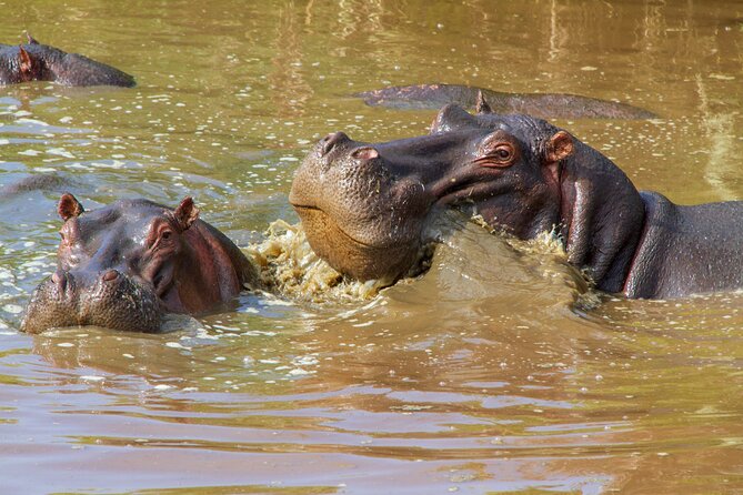 6 Days Lodge & Tented Camp Luxury – The Serengeti Trail & Tarangire