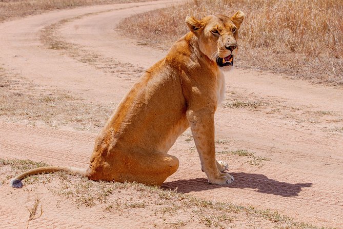 6 Days Luxury Northern Circuit Safari – A Glimpse of Tanzania Adventure