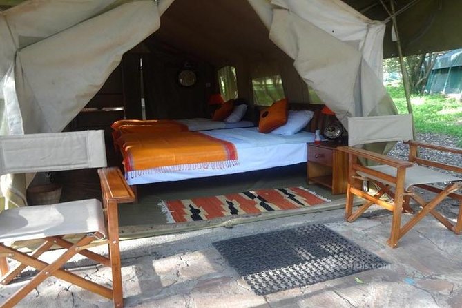 6 Days Maasai Mara/Nakuru/Amboseli Group Safari