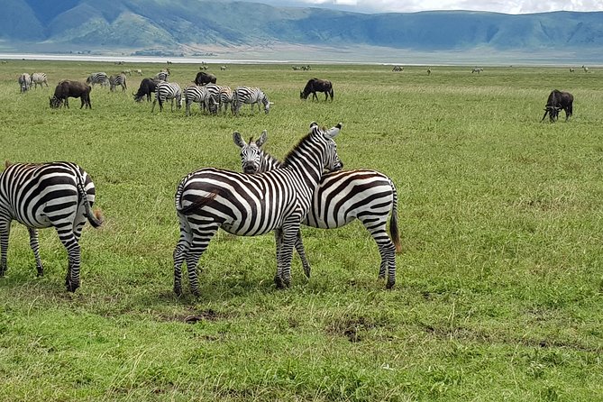 6 Days Mara River Crossing – The Great Migration