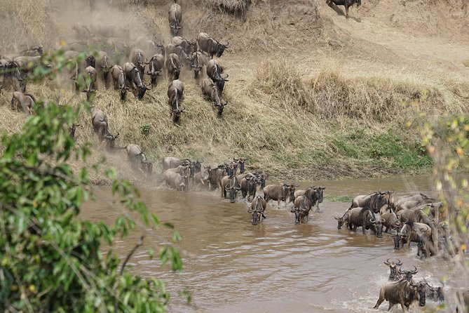 6 Days Migration Crossing in Mara River Northern Serengeti - Day-by-Day Itinerary
