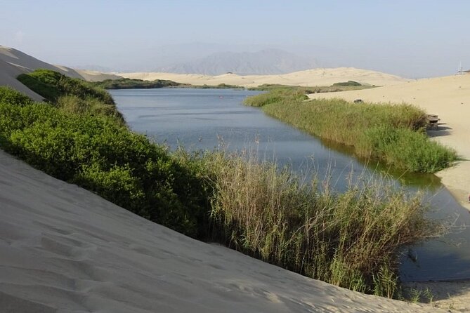 6-Hour Moron Lagoon Desert Guided Tour From Ica