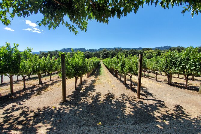 6-Hour Sparkling Wine Tour of Napa Valley