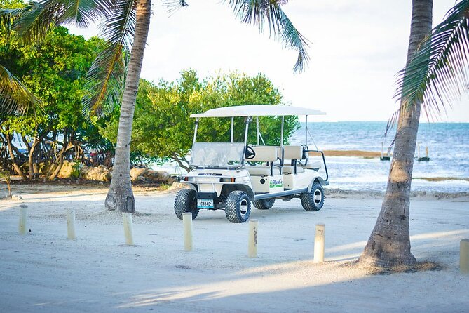 6-Seater Golf Cart Rental in San Pedro