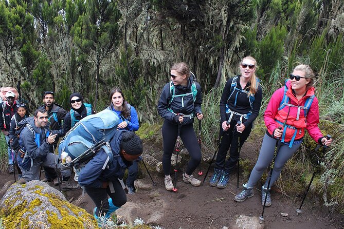 7 Day Kilimanjaro Treks via Machame Route + 2 Nights Hotel Stay
