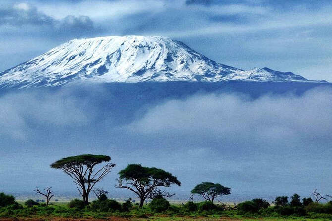 7-Day Mt. Kilimanjaro Hiking: Machame Route - Overview of the Hiking Experience