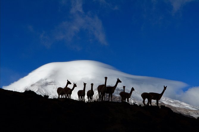 7 Days Cultural Experience Through the Andes