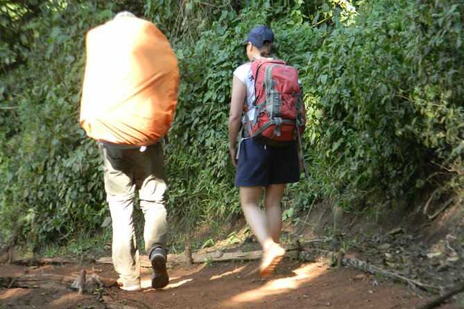 7 Days Kilimanjaro Climbing Tour | Hiking via Lemosho Route