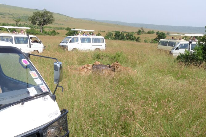 7 Days Maasai Mara-Lake Nakuru-Lake Naivasha & Amboseli - Tour Highlights