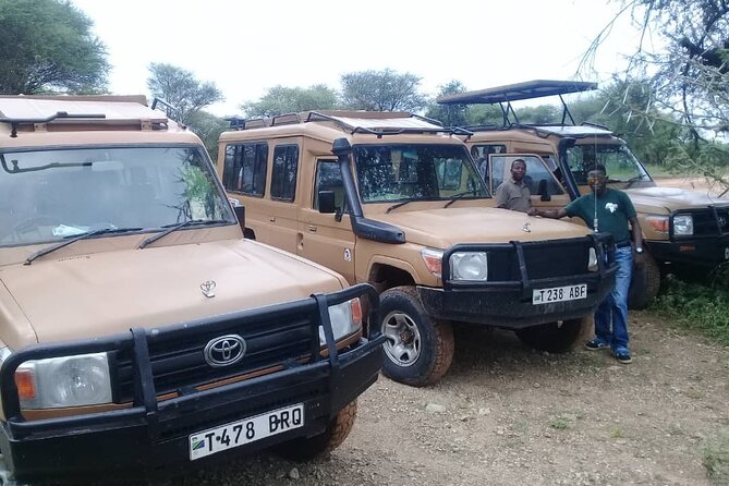 7 Days Tanzania Mid-Range Lodge Safari