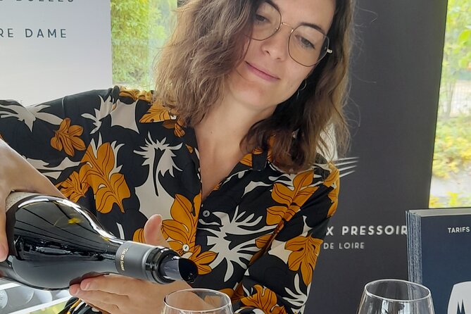 7-Hour Guided Wine Tour in Loire Valley - Overview of the Wine Tour