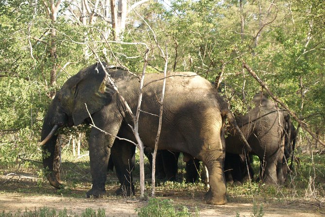 7days/6nights Eco Tourism