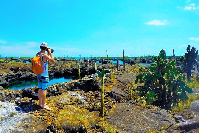8-Day Machu Picchu & Galapagos Superior: Ultimate Bucket List Experience - Exploring Cuscos Majestic Landmarks