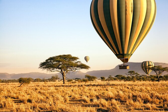 8 Day Private Wildebeest Migration Safari Serengeti Ngorongoro
