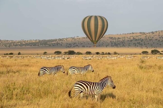 8 Days Follow the Wildebeest Migration River Crossing Safari