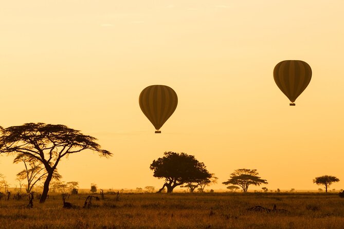 8 Days Green Season Offer – Luxury Serena Safari
