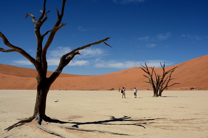 9 Day Canyons, Dunes & Wildlife Camping and Lodge Safari