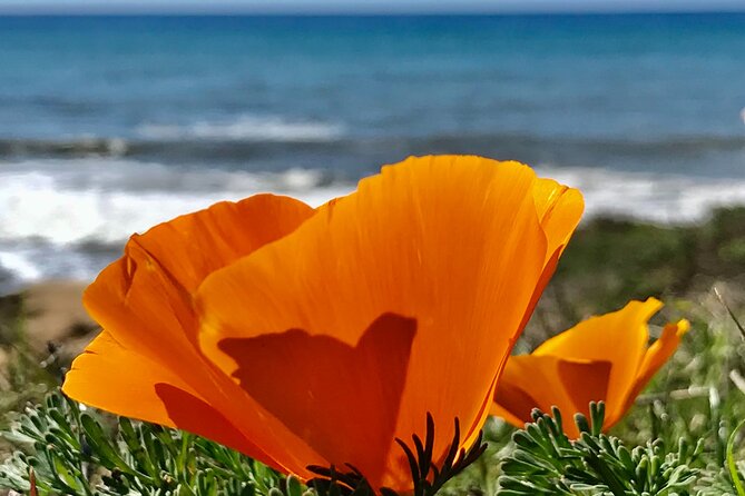 A La La Tour – Private Tour of Californias Central Coast