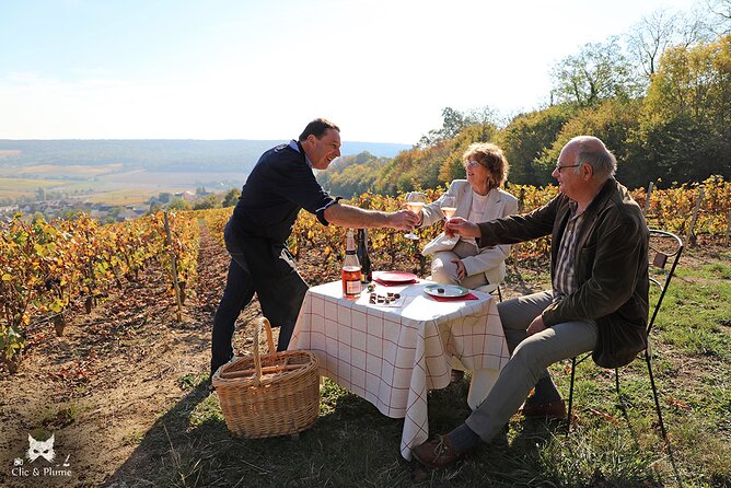 A Unique Sensory Experience in the Vineyards