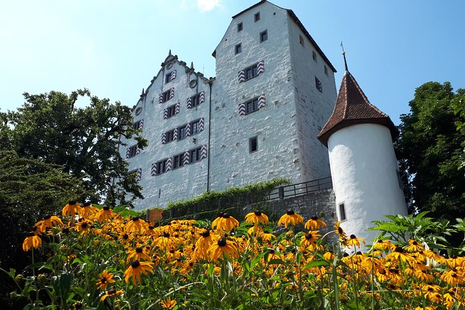 Aargau Foxtrail Castle Wildegg