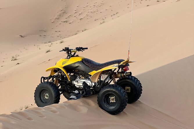 Abu Dhabi: 4-Hour Morning Safari With Camel Ride & Sand Boarding