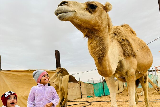 Abu Dhabi: 4×4 Desert Safari With Camel Raid & Quad Bike Option