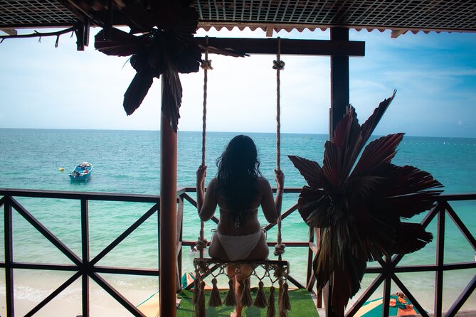 Adventure a Beach Day to Baru Lunch and Pickup in Cartagena - Overview of the Tour