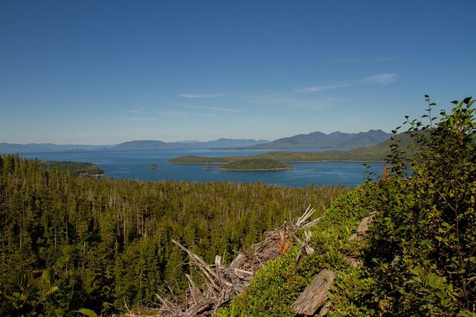 Adventure Kart Expedition- Ketchikan, AK