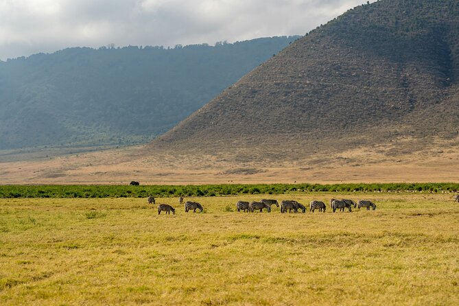 Affordable 4 Days Tanzania Private Mid-range Lodge Safari Tour