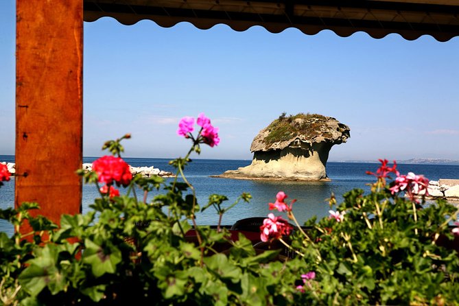 Afternoon Tour of the Island of Ischia by Bus - Tour Details