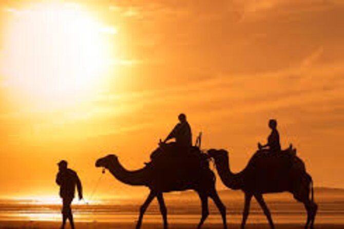Agadir Dune Quad Bike and Sunset Camel Ride Adventure