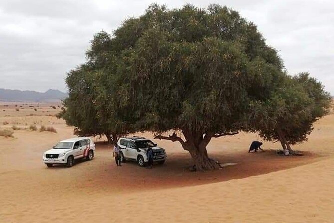 Agadir Sahara Day Trip With Lunch
