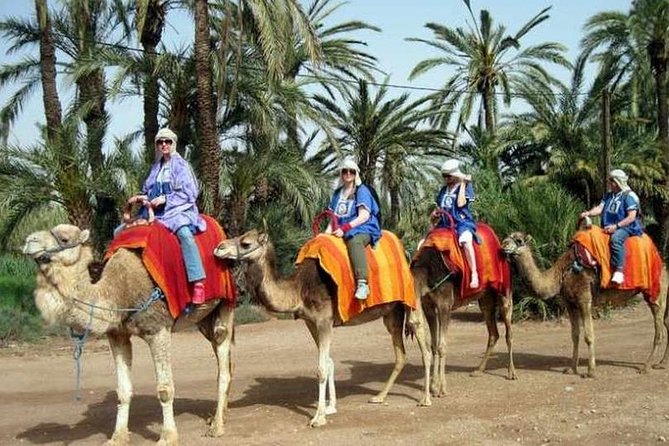 Agafay Desert Adventure, Culture, and Relaxation, From Marrakech