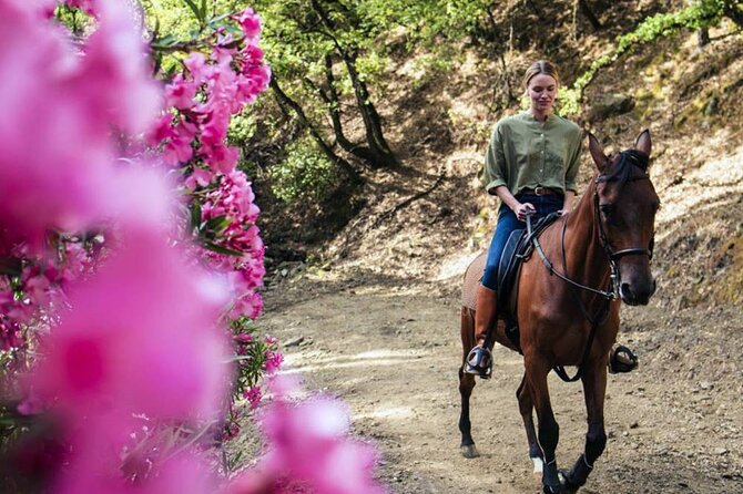 Alanya Horse Riding Experience With Free Hotel Transfer - Duration and Location
