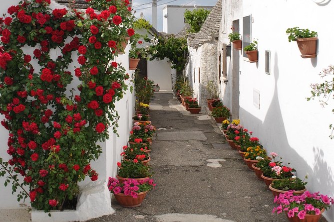 Alberobello & Ostuni & Polignano a Mare