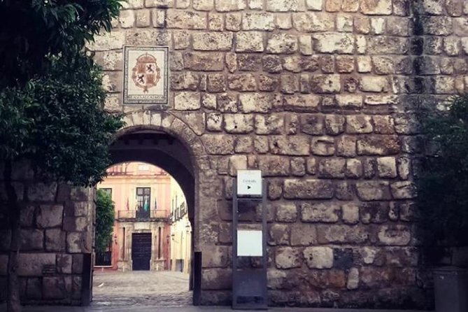 Alcazar, Cathedral And Santa Cruz Private Tour