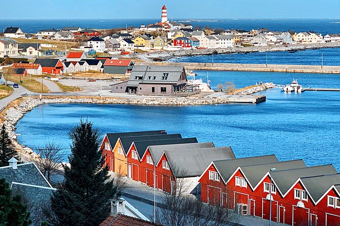 Alesund Sightseeing Tour Review: A Perfect Adventure